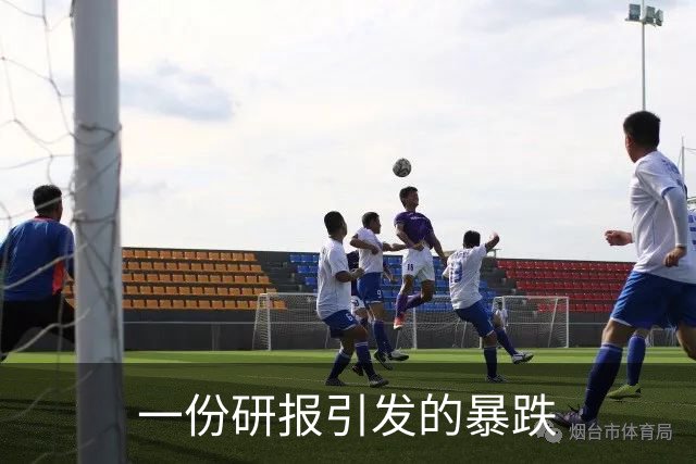 一份研报引发的暴跌