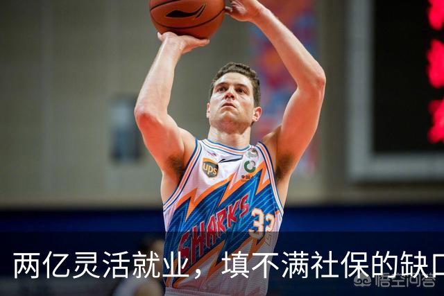 两亿灵活就业，填不满社保的缺口