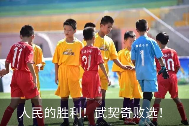 人民的胜利！武契奇败选！