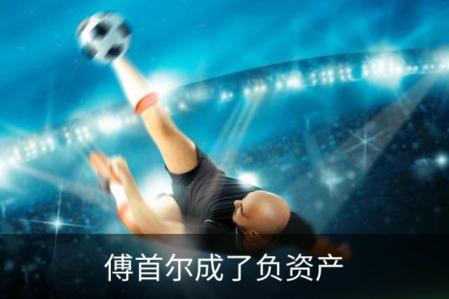 傅首尔成了负资产