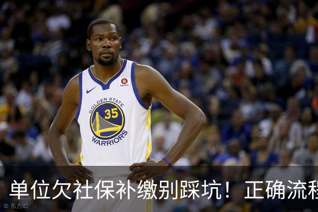 单位欠社保补缴别踩坑！正确流程：单位申报，个人不要提前转钱