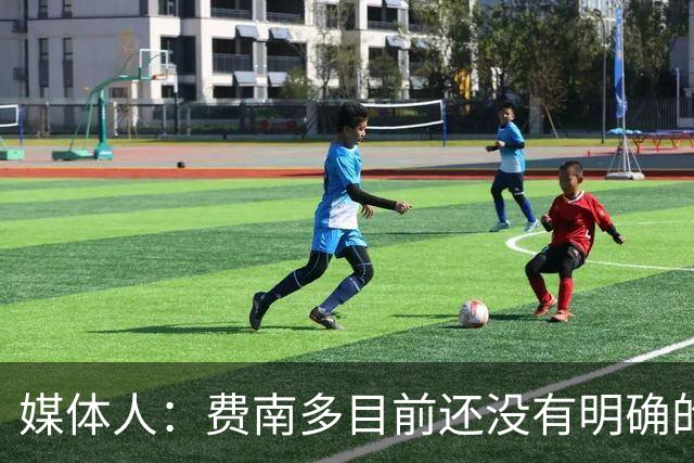 媒体人：费南多目前还没有明确的下家