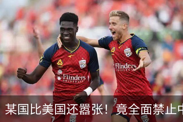 某国比美国还嚣张！竟全面禁止中国产业链入境，还想阻断中欧交流