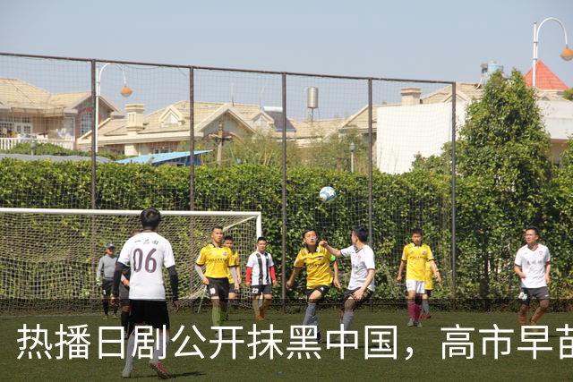 热播日剧公开抹黑中国，高市早苗点名要看，洪秀柱最新表态亮了