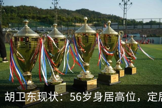 胡卫东现状：56岁身居高位，定居南京不缺钱，女儿从事金融
