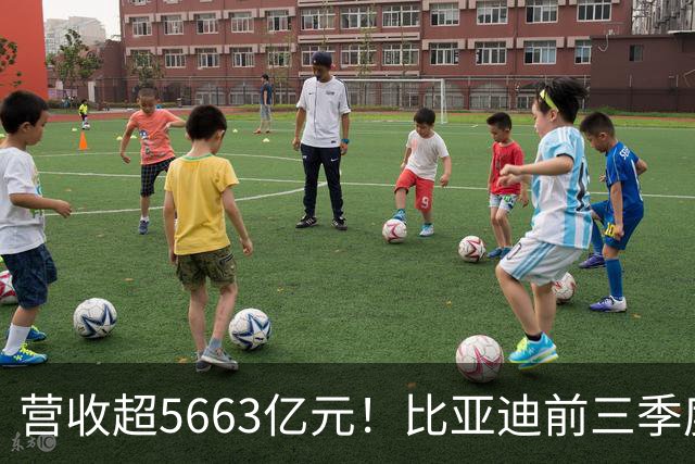营收超5663亿元！比亚迪前三季度净利润约223.45亿元，海外市场销量同比增长91%