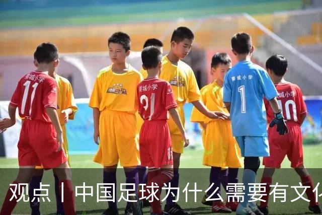 观点丨中国足球为什么需要有文化的球员？