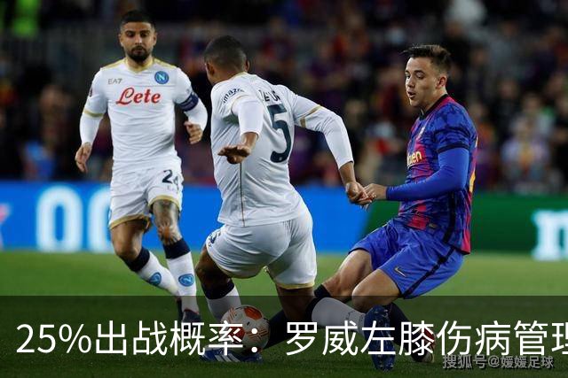 25%出战概率：罗威左膝伤病管理，开拓者主场对灰熊恐缺他