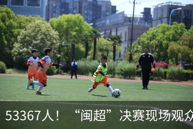 53367人！“闽超”决赛现场观众再创纪录